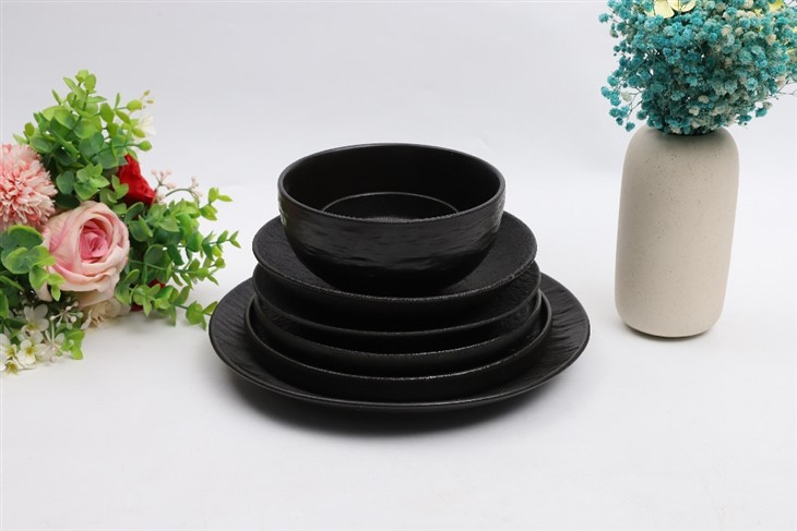 Ceramic Plate Bowls Mugs Piece Dinnerware